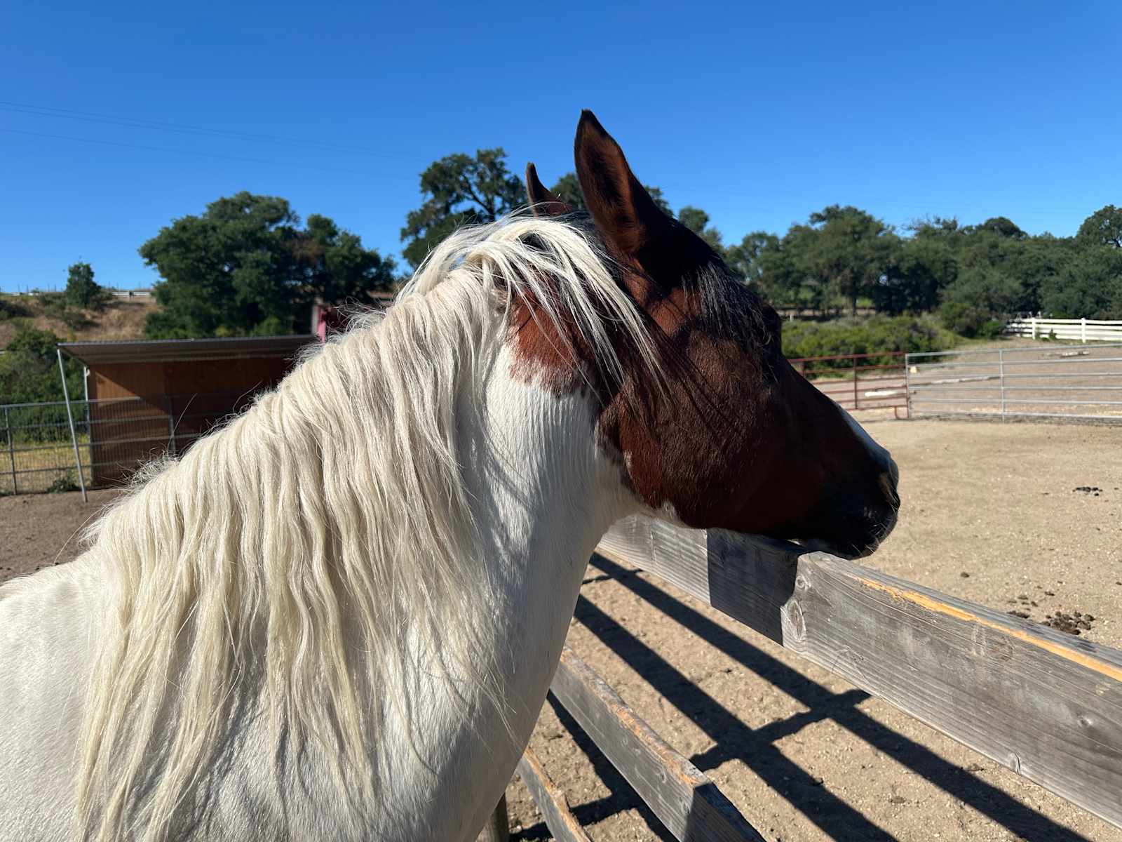 Union Road Wine Trail Sites - Paso Robles, California - glamping.directory