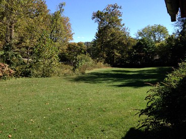 Pet-Friendly Cabin Rental for Family Getaway in Lexington, Virginia - Lexington, Virginia - glamping.directory