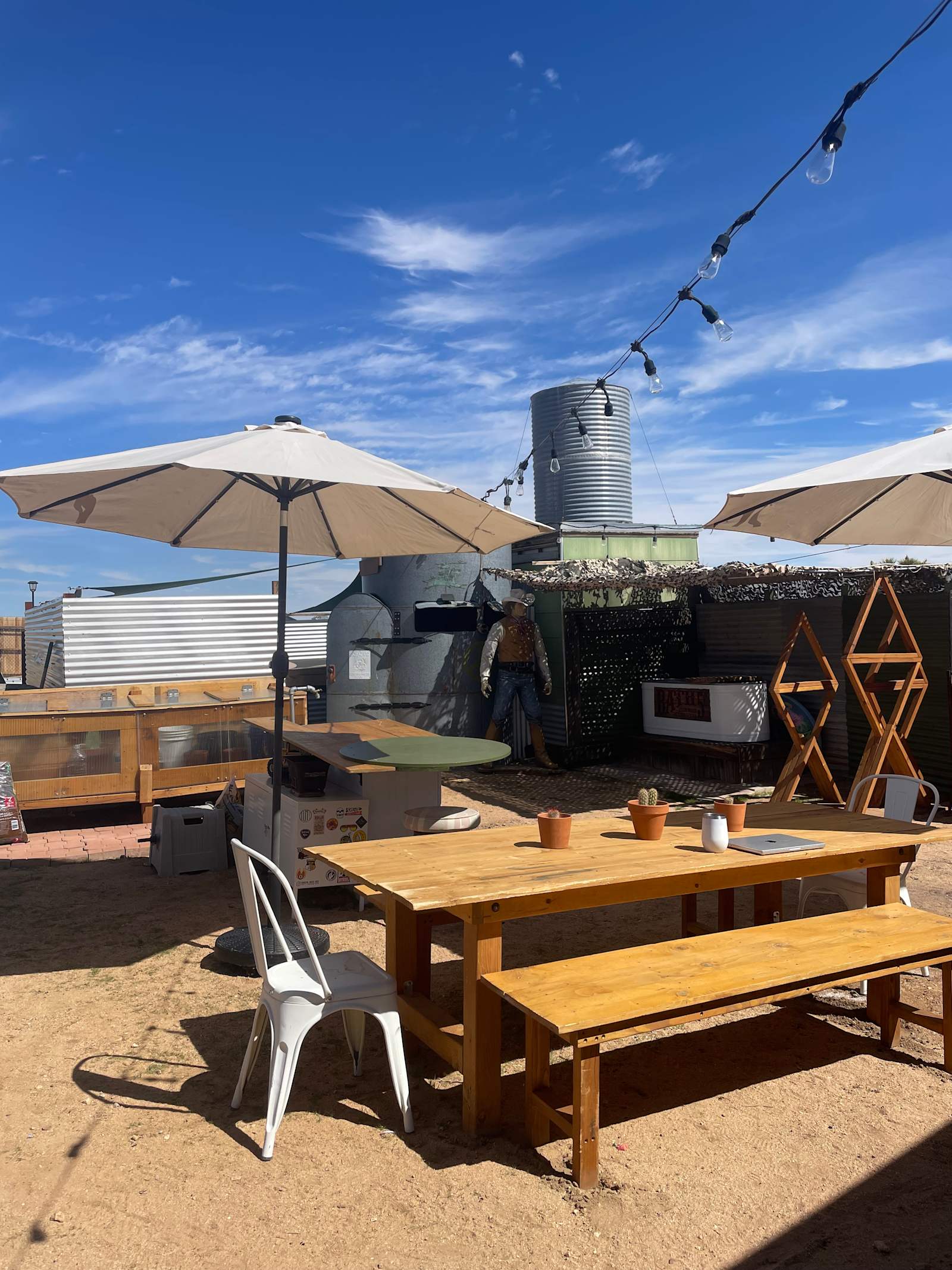 Joshua Tree Glamping Yurt - Landers, California - glamping.directory