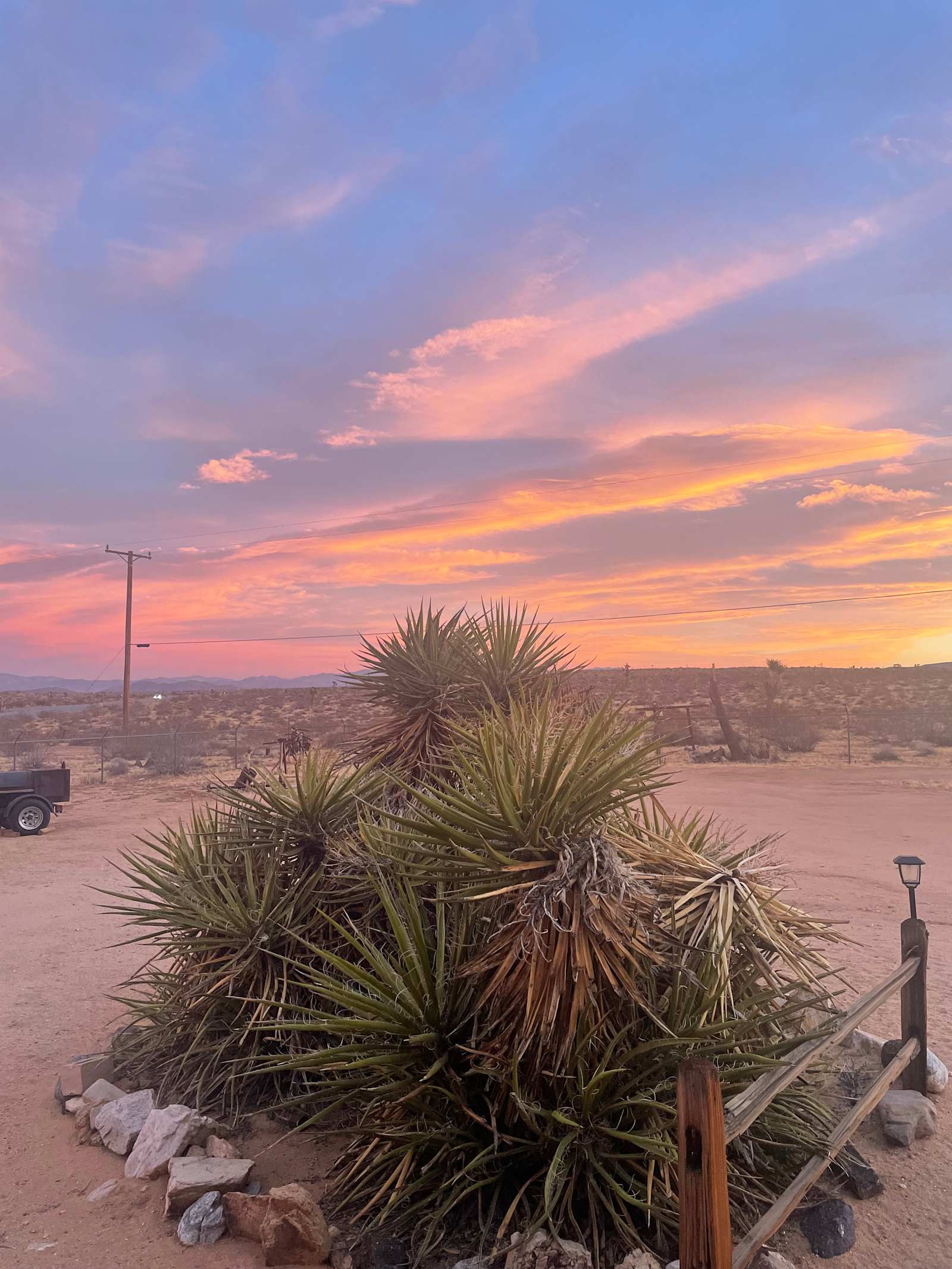 Joshua Tree Glamping Yurt - Landers, California - glamping.directory