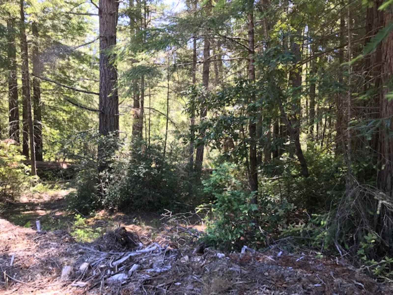 Thanktuary Retreat - Gualala, California - glamping.directory