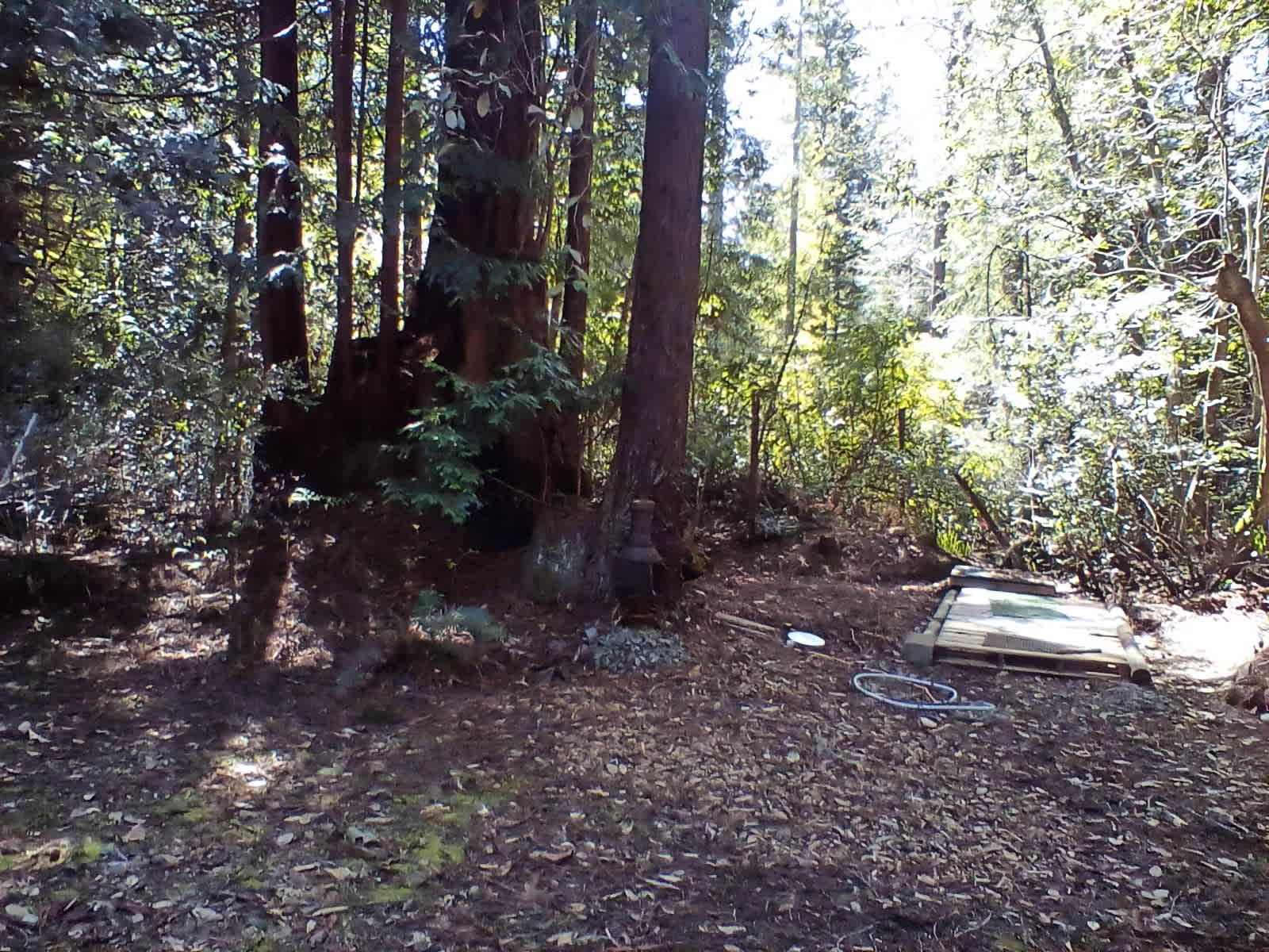 Redwood Forest Raven Haven - Albion, California - glamping.directory