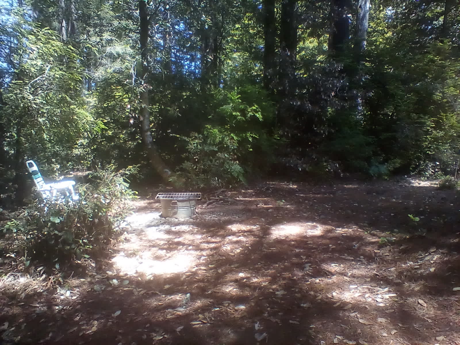 Redwood Forest Raven Haven - Albion, California - glamping.directory