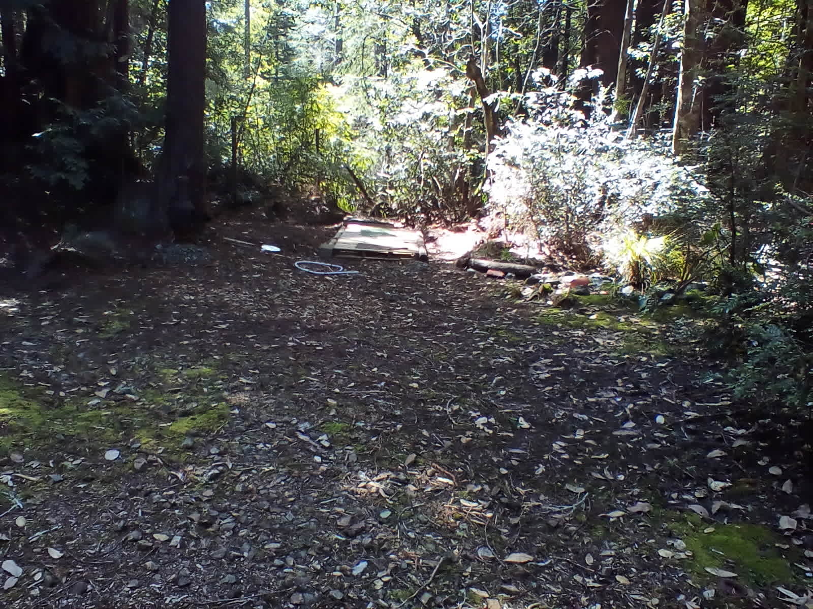 Redwood Forest Raven Haven - Albion, California - glamping.directory