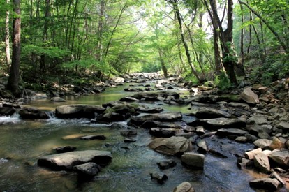 Luxury Cabin Rental with Beautiful Creek Views in Peterstown, West Virginia - Peterstown, West Virginia - glamping.directory
