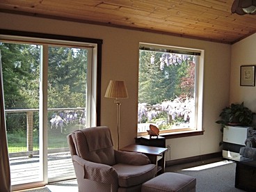 Rural Vacation Cottage near the Coast and the Town of Albion in Northern California - Albion, California - glamping.directory