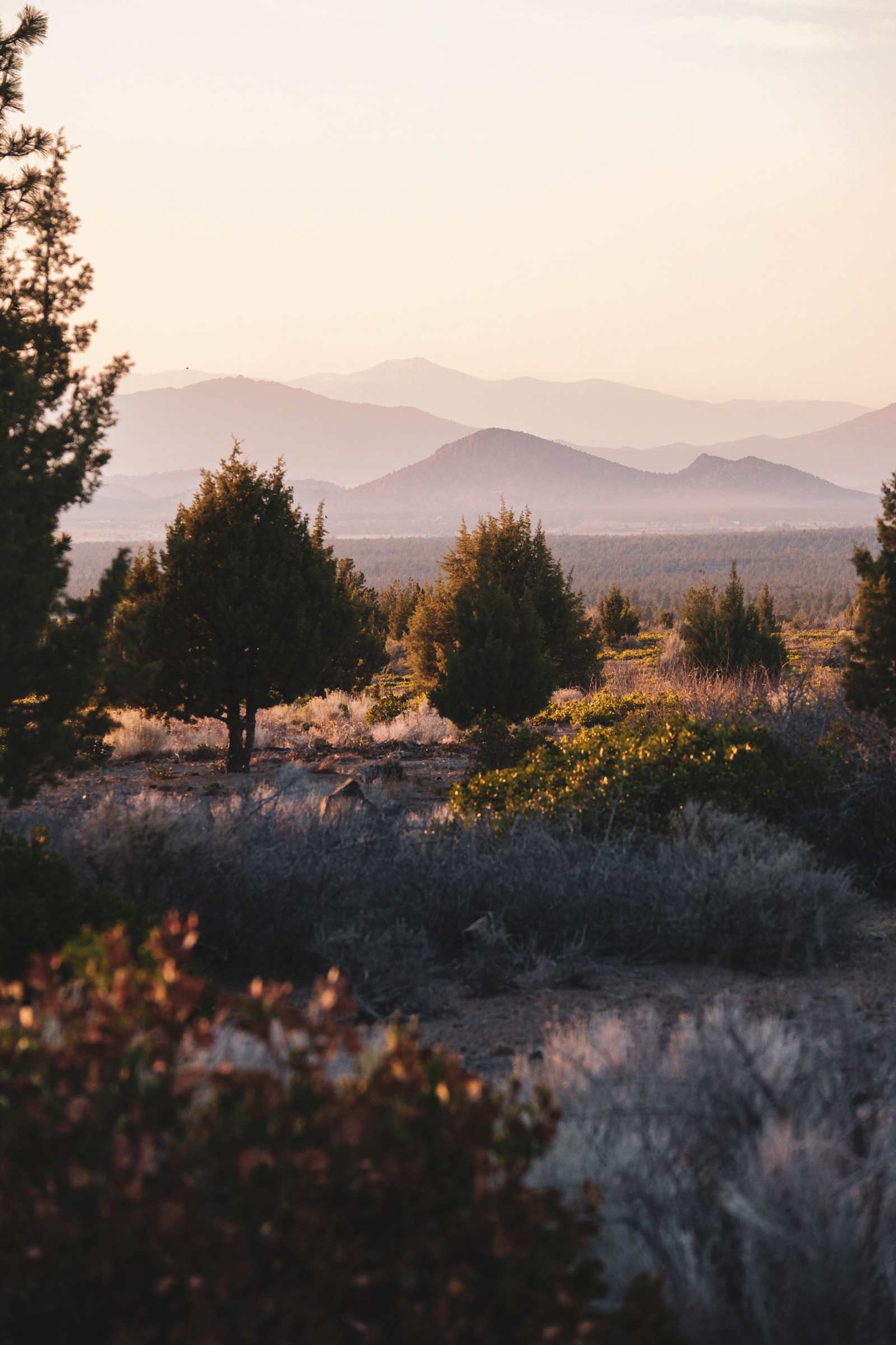 Juniper Valley Campsites - Carrick, California - glamping.directory