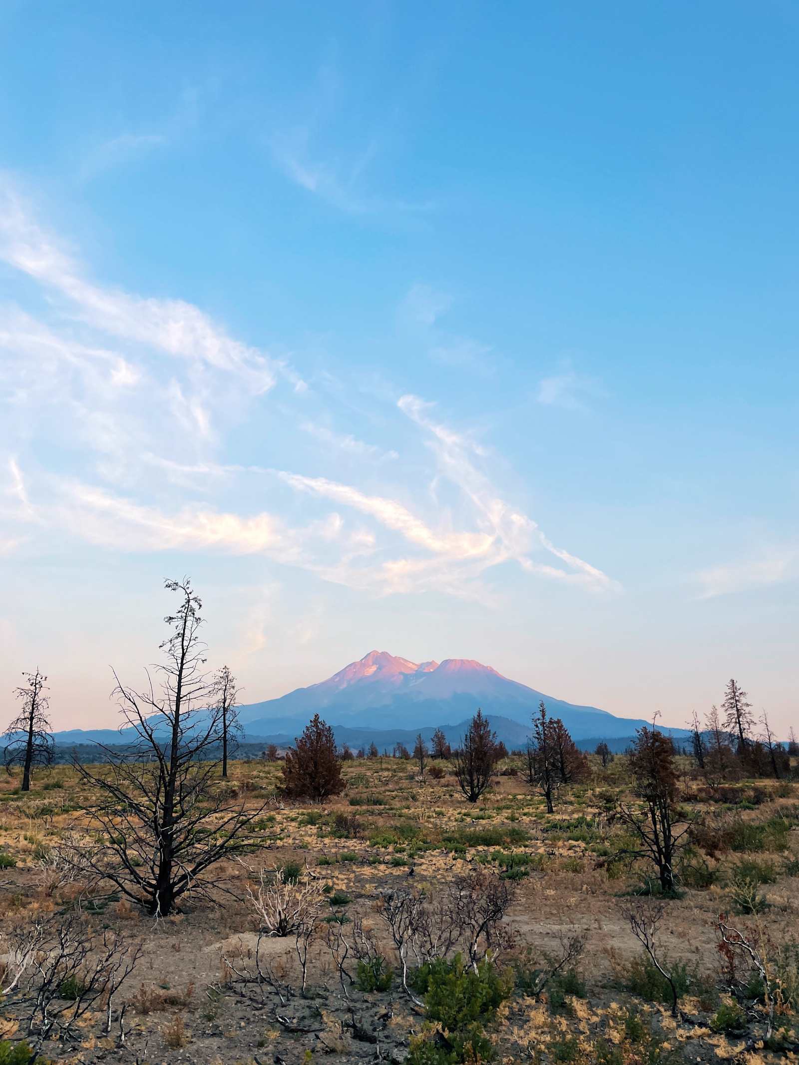 Juniper Valley Campsites - glamping.directory