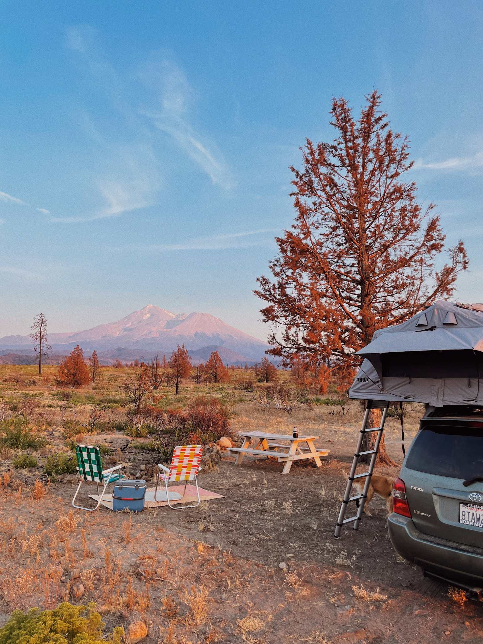 Juniper Valley Campsites - Carrick, California - glamping.directory