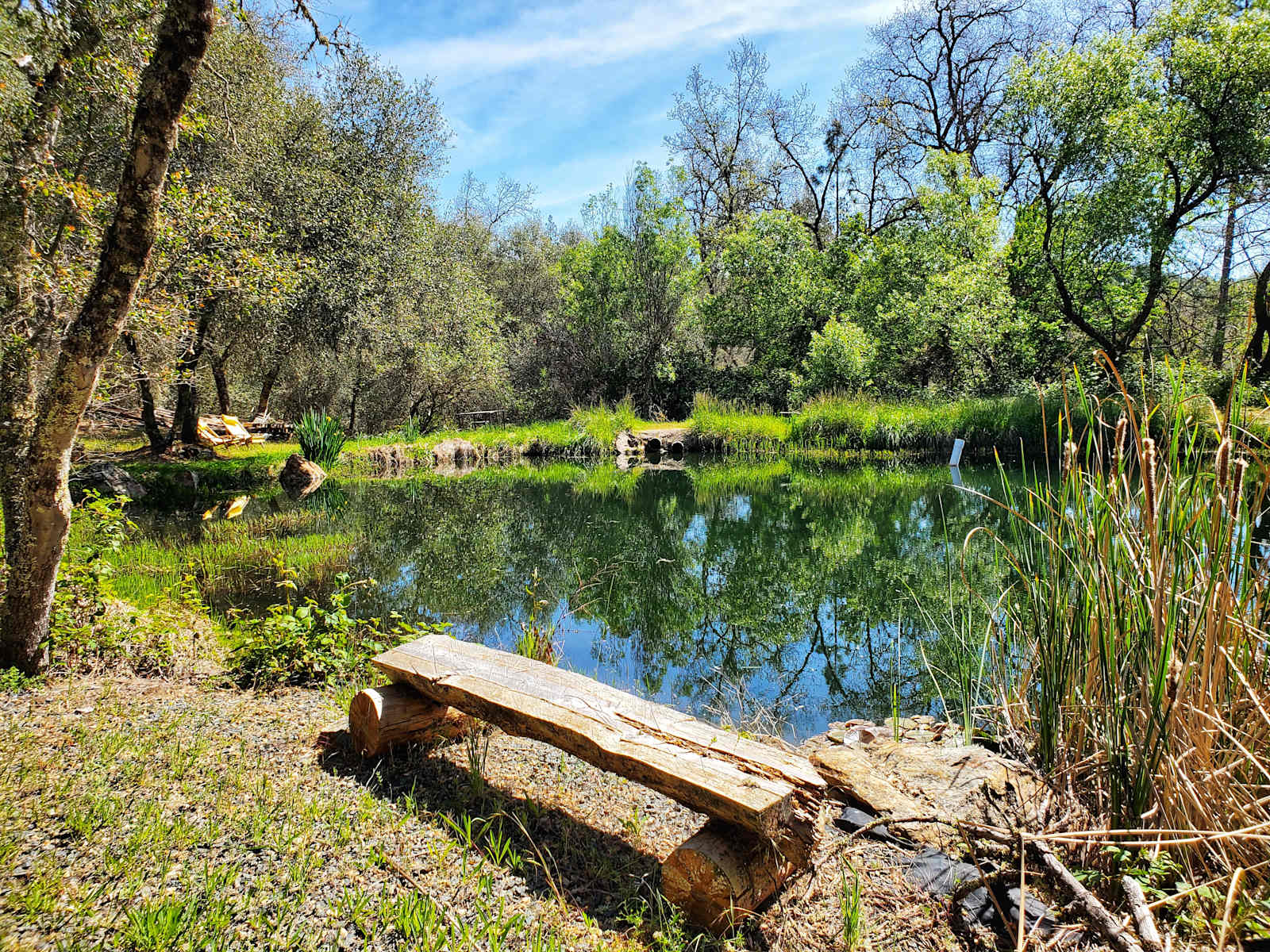 Peaceful Pond Retreat - glamping.directory
