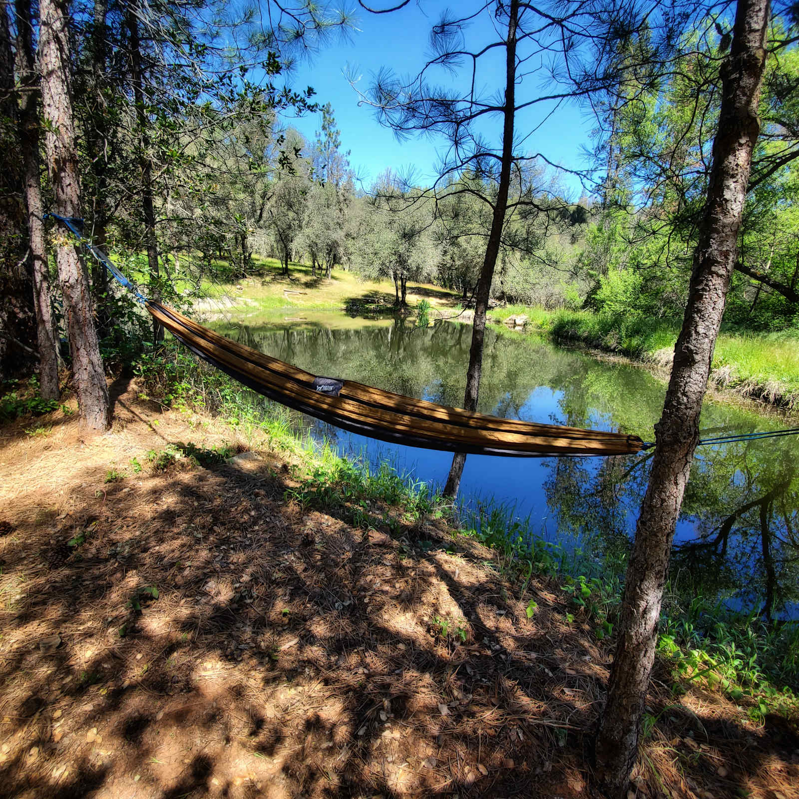 Peaceful Pond Retreat - Grass Valley, California - glamping.directory