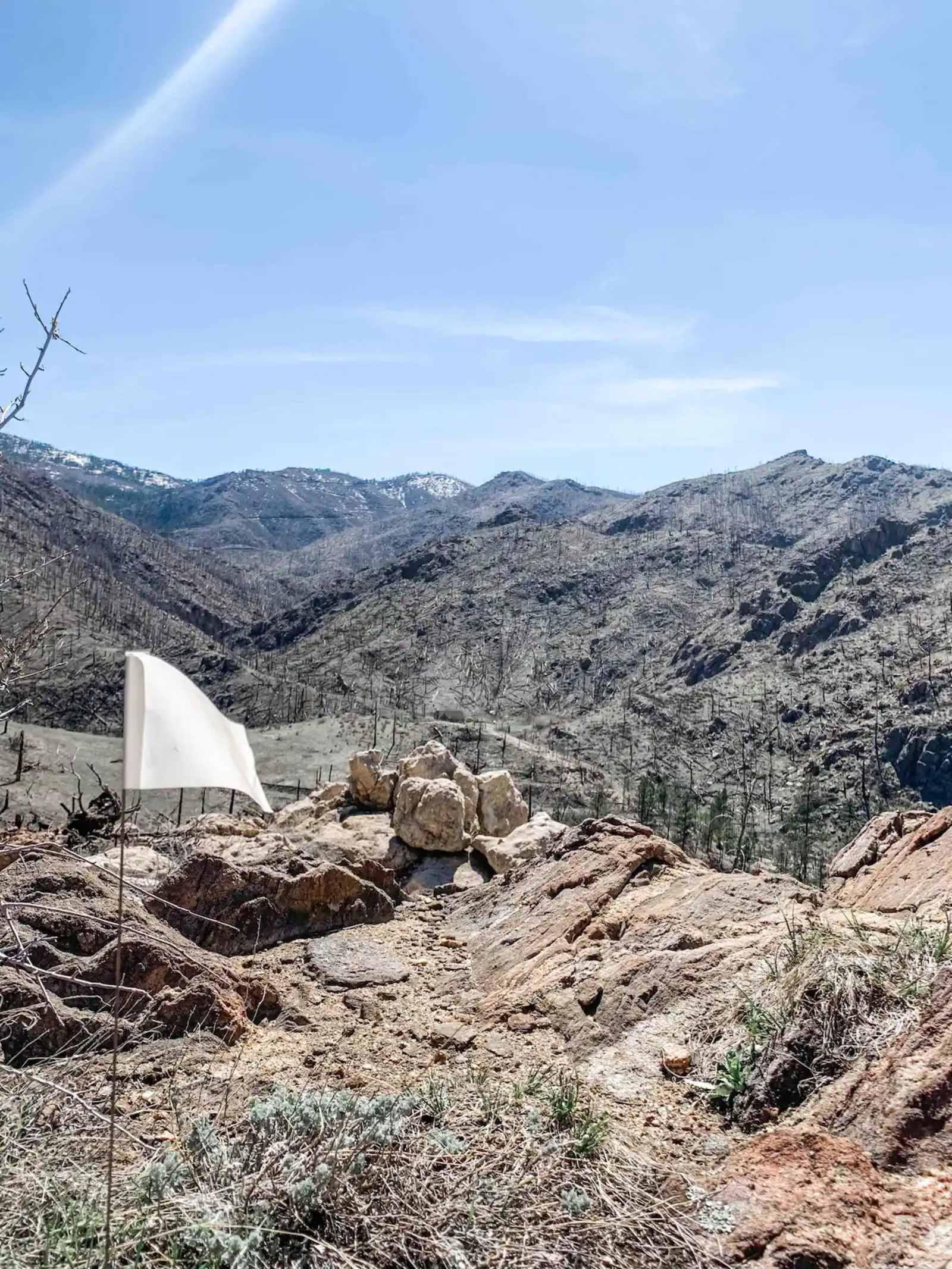 Its A Wonderful Place - Bellvue, Colorado - glamping.directory