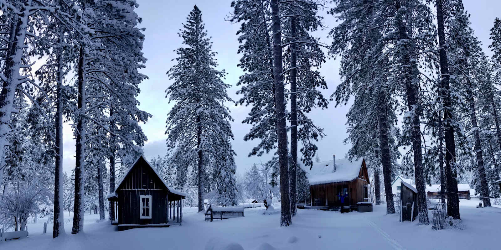 Lost Sierra Cabin & Camp Escape - Meadow Valley, California - glamping.directory