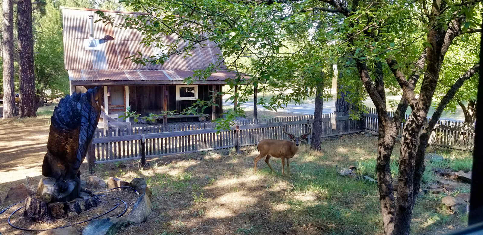 Lost Sierra Cabin & Camp Escape - Meadow Valley, California - glamping.directory