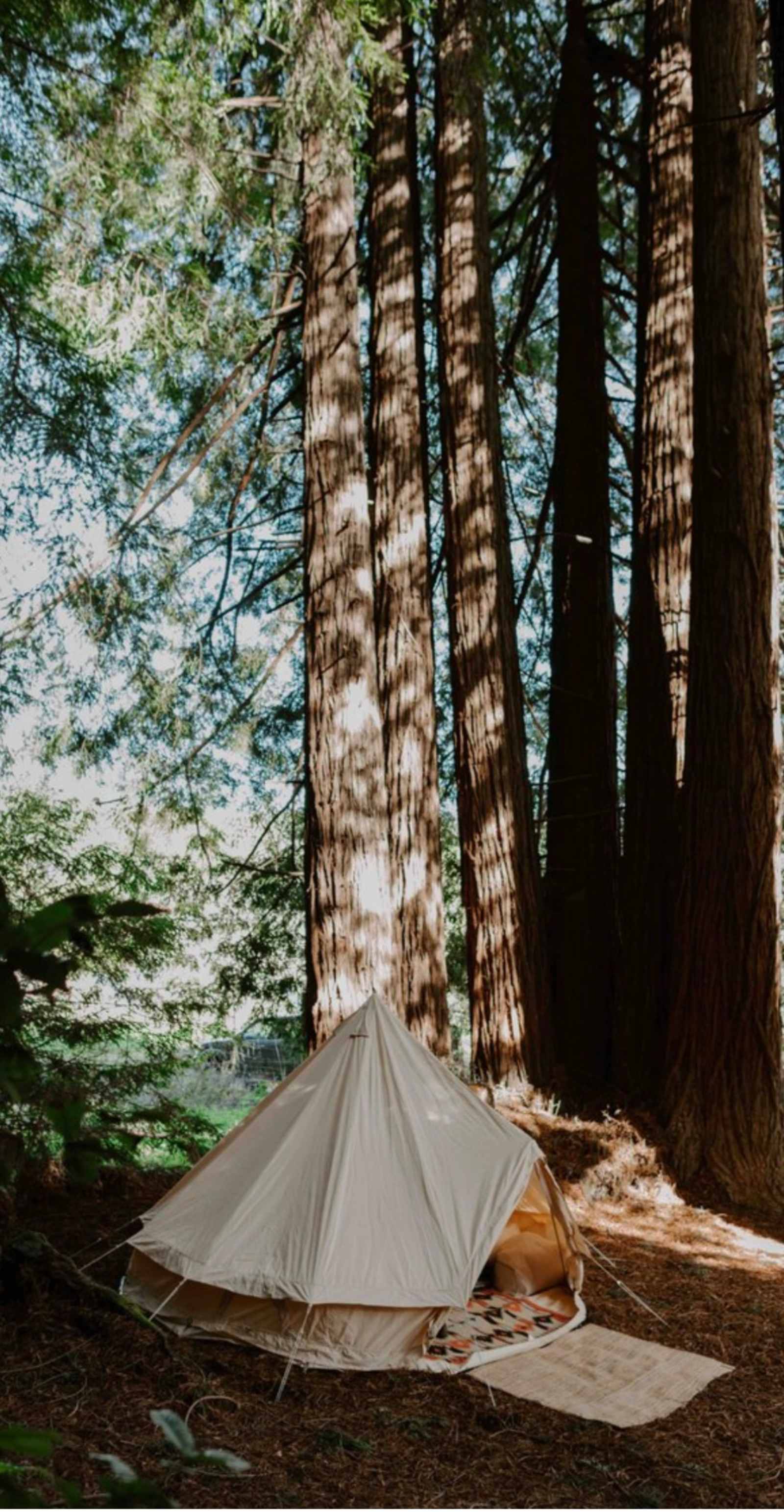 Paradise Glamping - Leggett, California - glamping.directory