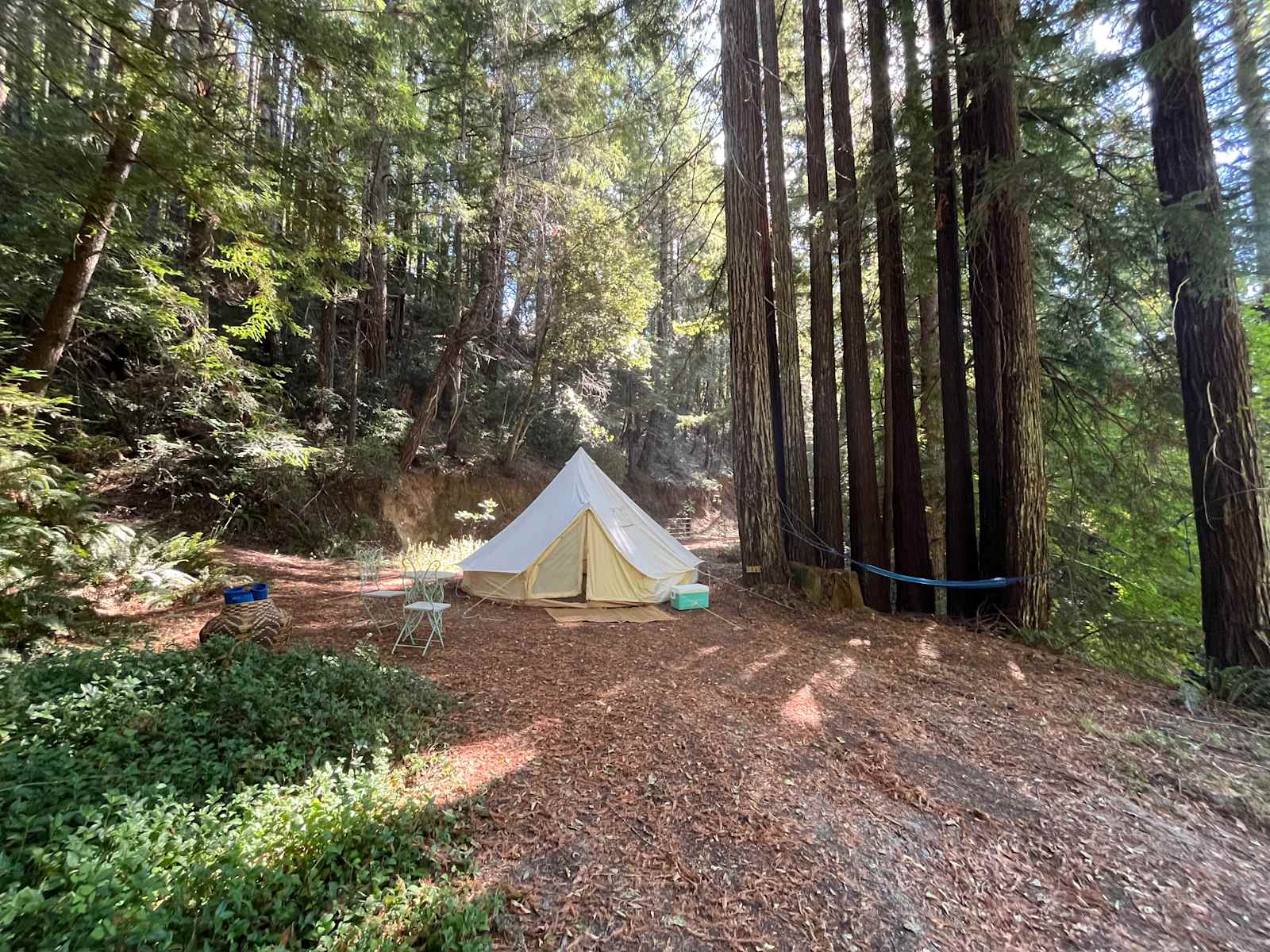 Paradise Glamping - Leggett, California - glamping.directory