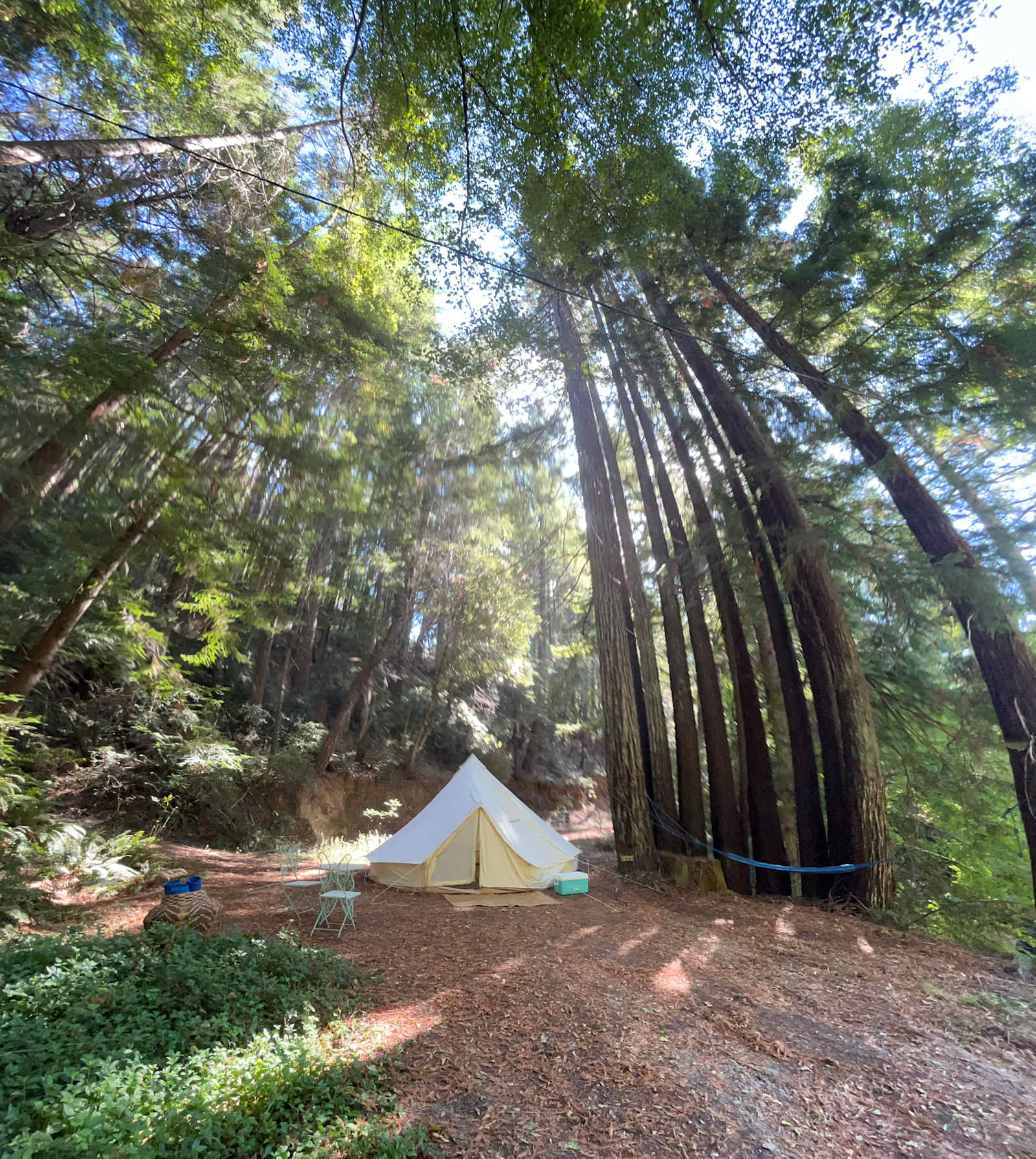 Paradise Glamping - Leggett, California - glamping.directory
