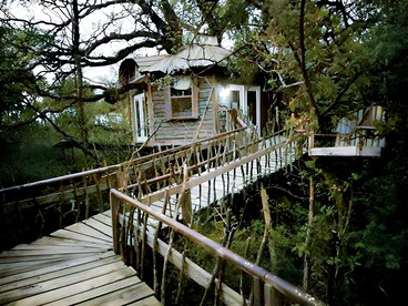 Creekside Tree House with Private Pool in Celeste, Texas, for Memorable Glamping Stays in the South - Celeste, Texas - glamping.directory