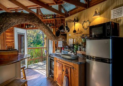 Creekside Tree House with Private Pool in Celeste, Texas, for Memorable Glamping Stays in the South - Celeste, Texas - glamping.directory
