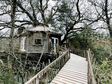 Creekside Tree House with Private Pool in Celeste, Texas, for Memorable Glamping Stays in the South - Celeste, Texas - glamping.directory