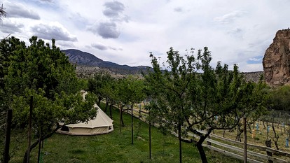 Quaint Bell Tent with Beautiful Vineyards Views in Cortez, Colorado - Cortez, Colorado - glamping.directory