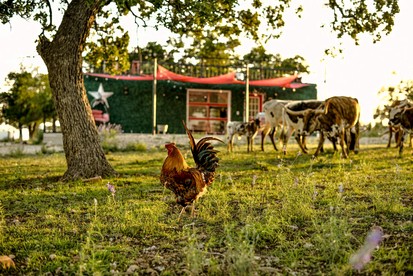 Wonderful Secluded Container in Fredericksburg, Texas - Fredericksburg, Texas - glamping.directory