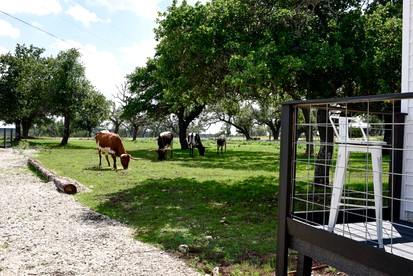 Wonderful Secluded Container in Fredericksburg, Texas - Fredericksburg, Texas - glamping.directory