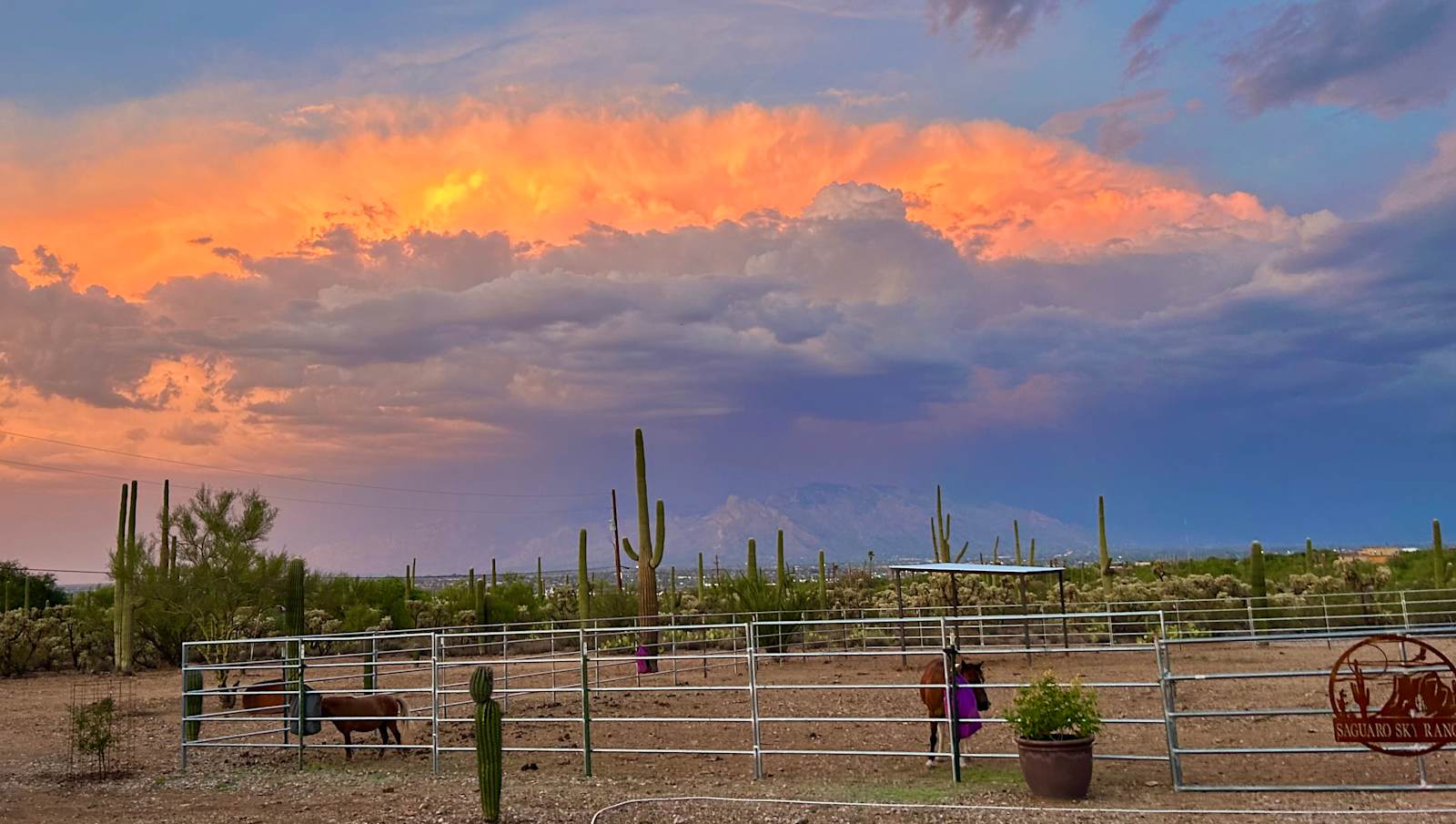 Saguaro  Sky Ranch - glamping.directory