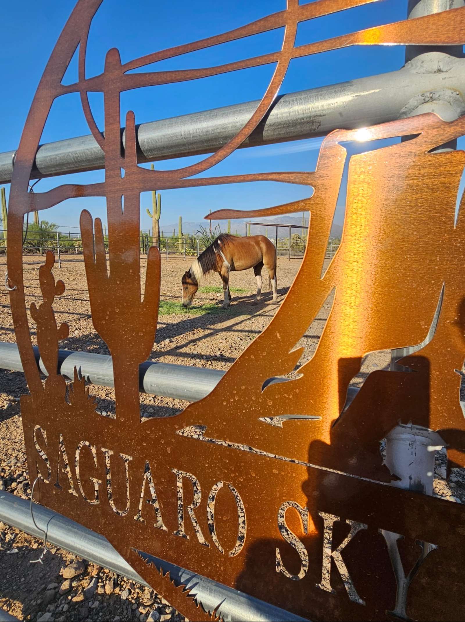 Saguaro Sky Ranch - Tucson, Arizona - glamping.directory