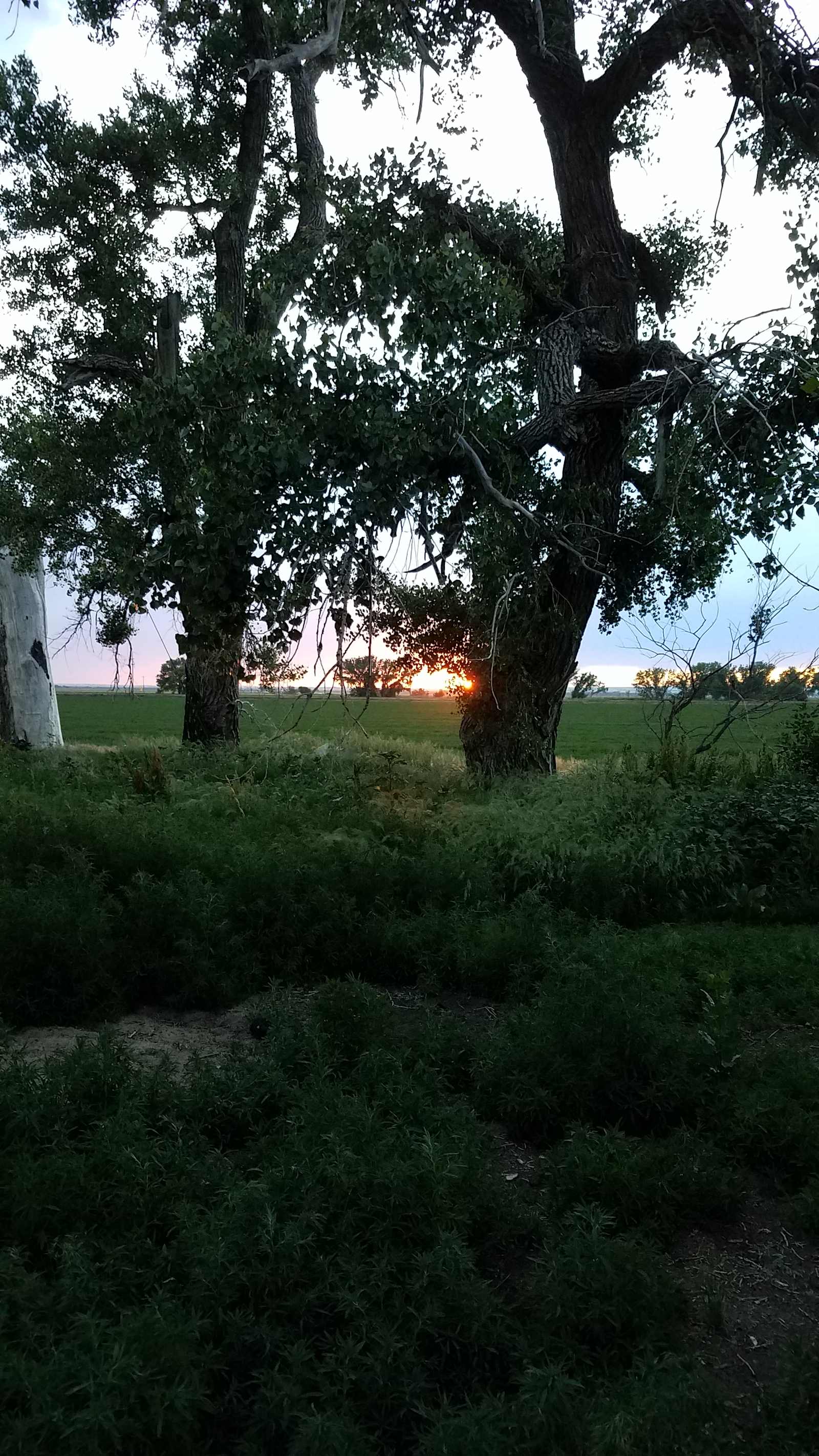 Cottonwood Tree Camp - Brush, Colorado - glamping.directory