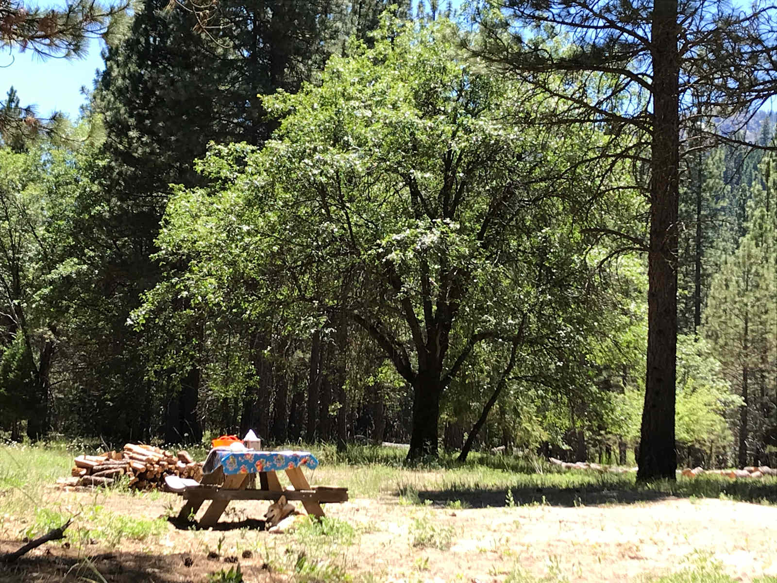 Genesee Camp - Taylorsville, California - glamping.directory