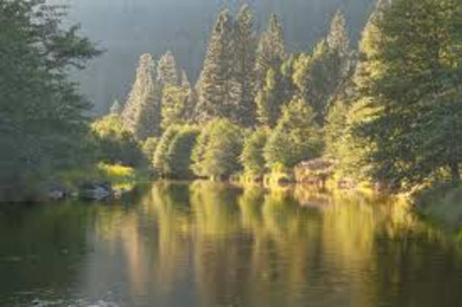 Genesee Camp - Taylorsville, California - glamping.directory