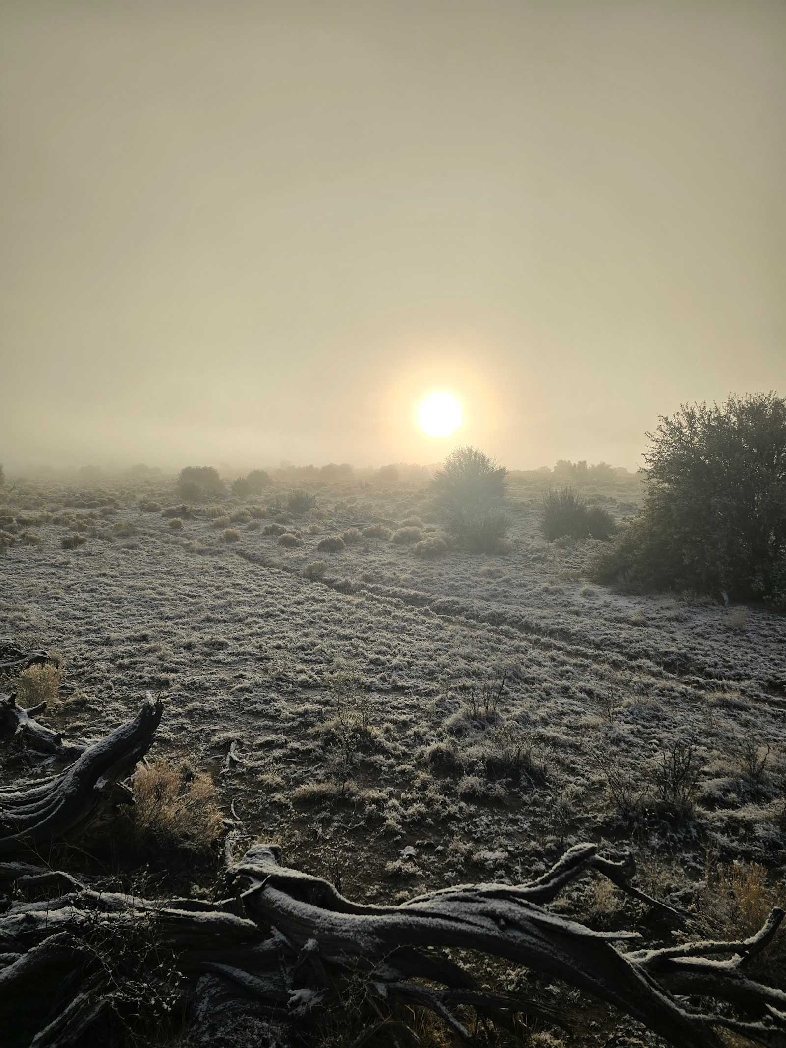 Skywater Ridge - Arizona - glamping.directory