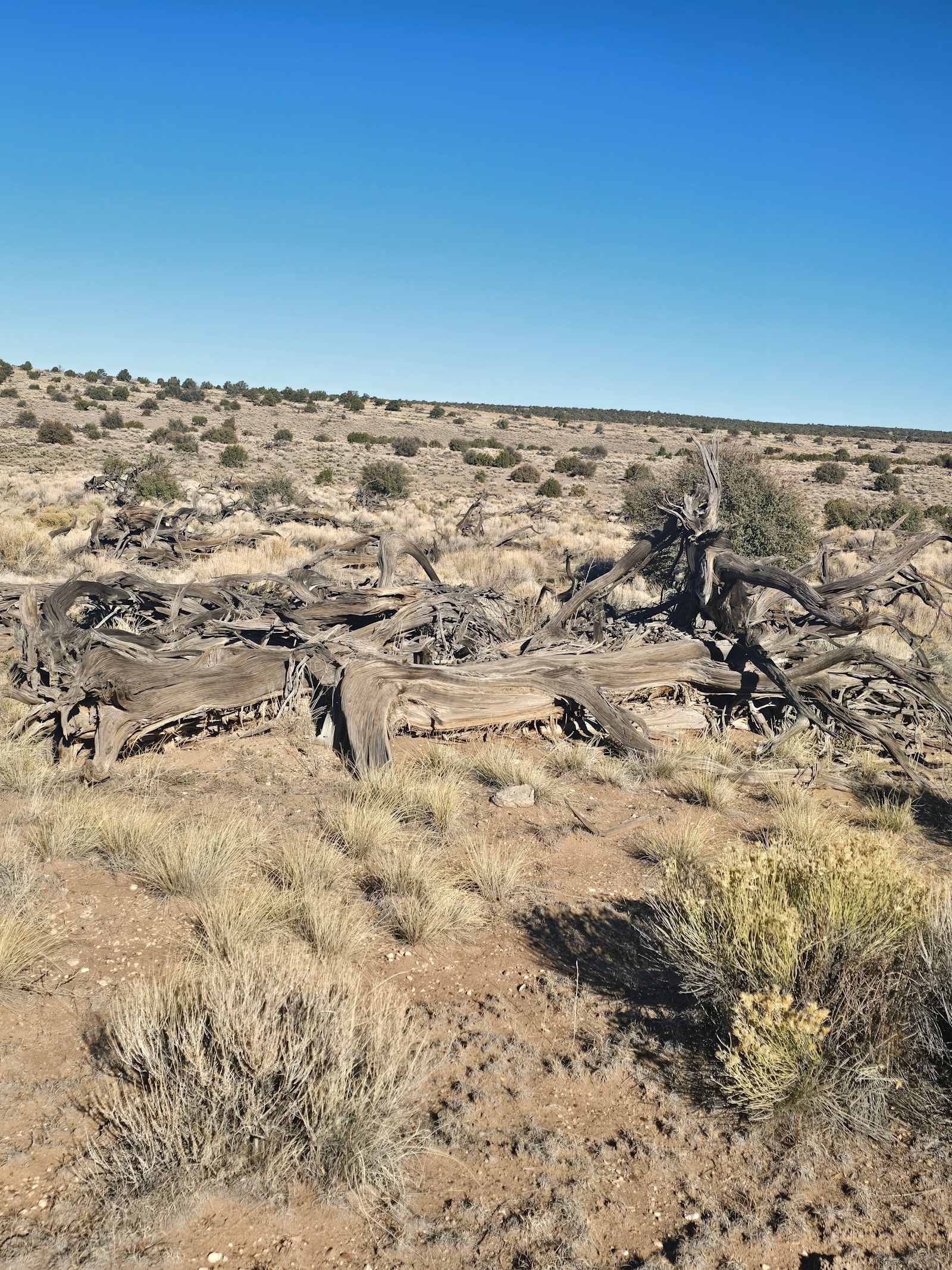 Skywater Ridge - Arizona - glamping.directory