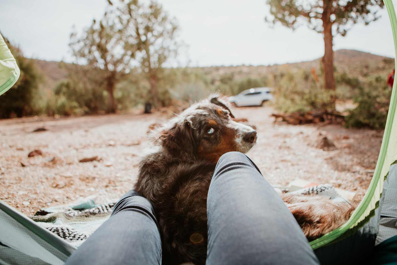 Slow me Down Ranch - Hackberry, Arizona - glamping.directory