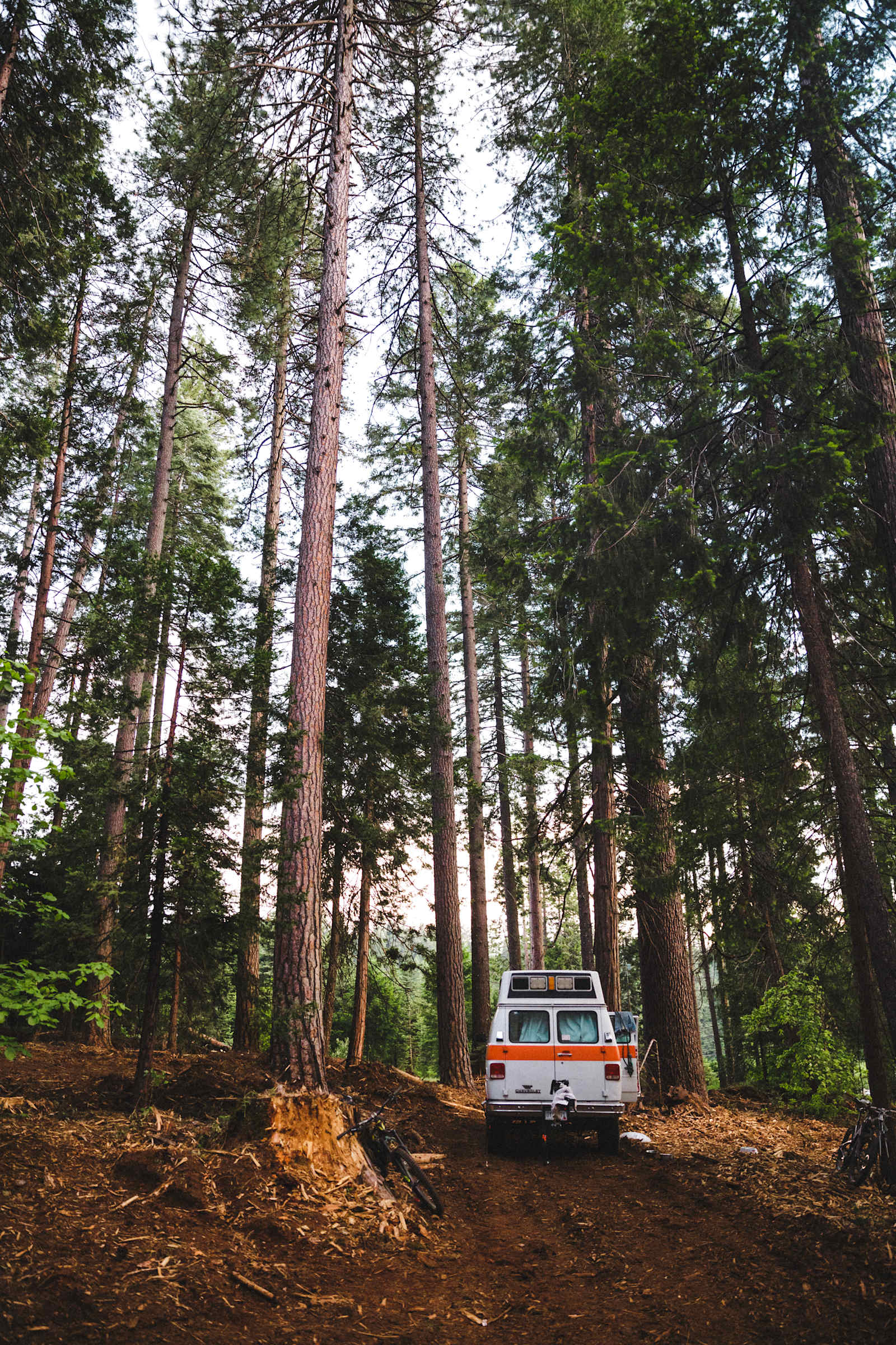 Harris Family Farm and Forest - glamping.directory
