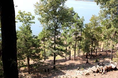 Breathtaking Wooden Cabin with Great Sights in Edgemont, Arkansas - Edgemont, Arkansas - glamping.directory