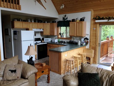 Secluded Family Cabin with a Hot Tub in the Rocky Mountains near Denver, Colorado - Alma, Colorado - glamping.directory