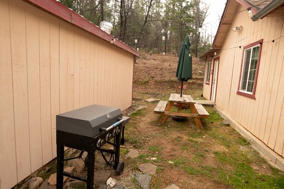 Cozy Nature-Filled Home with Garden & Night Sky Views Near Yosemite Tioga Pass, Groveland CA - Groveland, California - glamping.directory