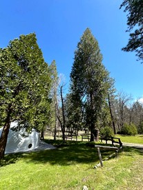 Cozy Nature-Filled Home with Garden & Night Sky Views Near Yosemite Tioga Pass, Groveland CA - Groveland, California - glamping.directory