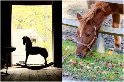 Two-Person Retreat on Horse Farm in Lee, New Hampshire - Lee, New Hampshire - glamping.directory