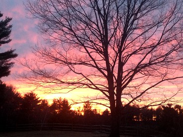 Two-Person Retreat on Horse Farm in Lee, New Hampshire - Lee, New Hampshire - glamping.directory