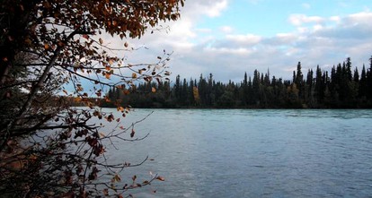 Charming Cabin Rental with Spectacular Views near Kenai Fjords National Park, Alaska - Sterling, Alaska - glamping.directory