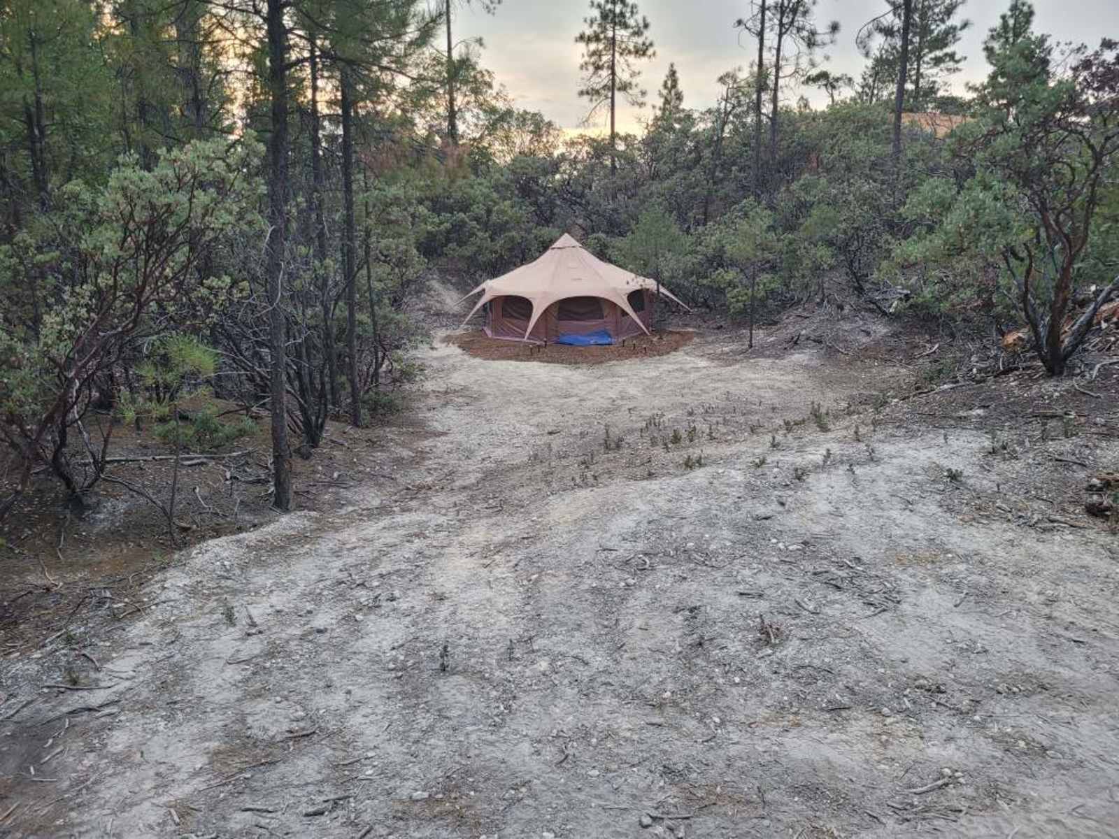 Watson Farms - glamping.directory