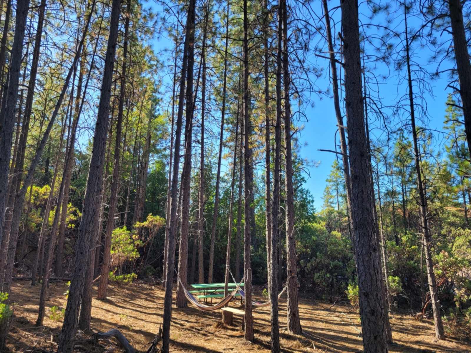 Watson Farms - Nevada City, California - glamping.directory