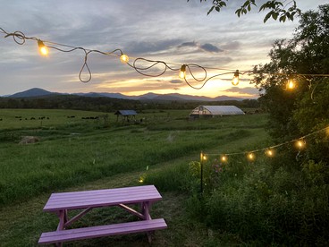 Rustic Bell Tent on Working Farm in New York with Views of the Adirondacks - Westport, New York - glamping.directory