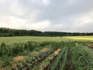 Rustic Bell Tent on Working Farm in New York with Views of the Adirondacks - Westport, New York - glamping.directory