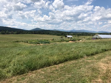 Rustic Bell Tent on Working Farm in New York with Views of the Adirondacks - Westport, New York - glamping.directory