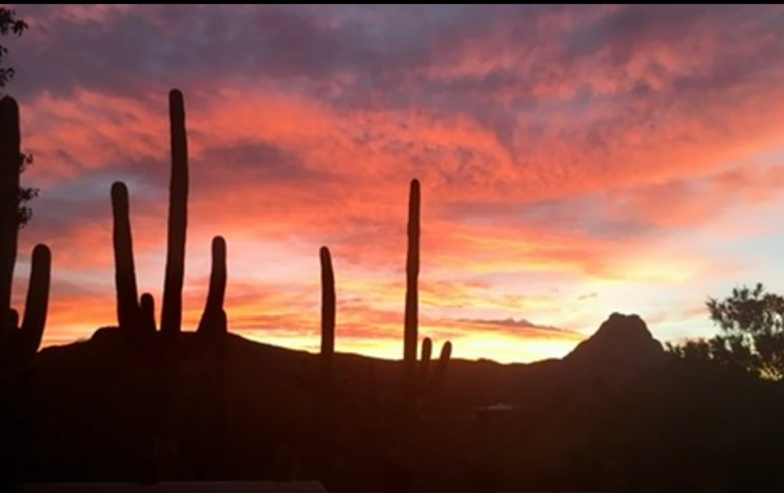 Saguaro Mountain View - Tucson, Arizona - glamping.directory