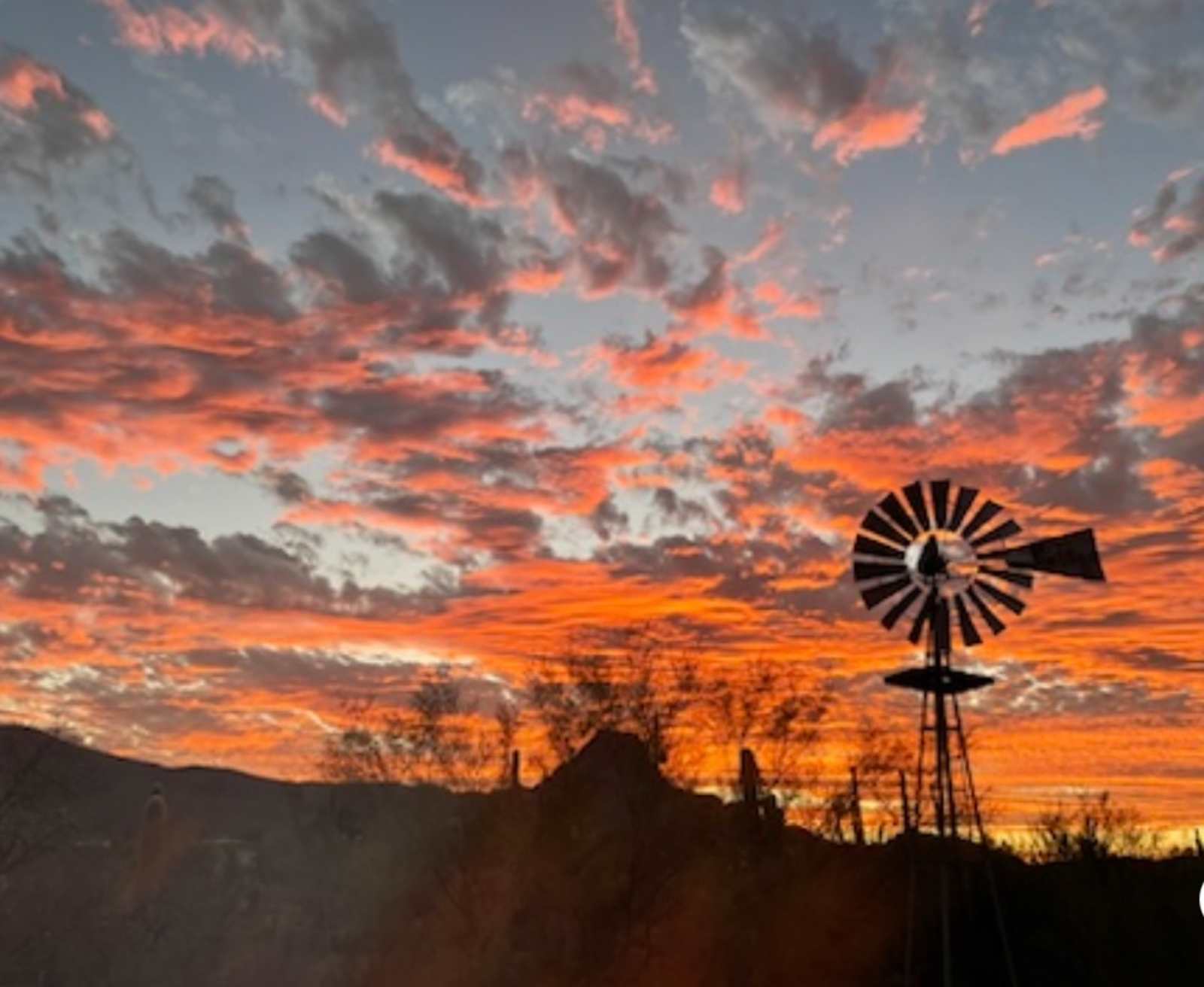 Saguaro Mountain View - Tucson, Arizona - glamping.directory